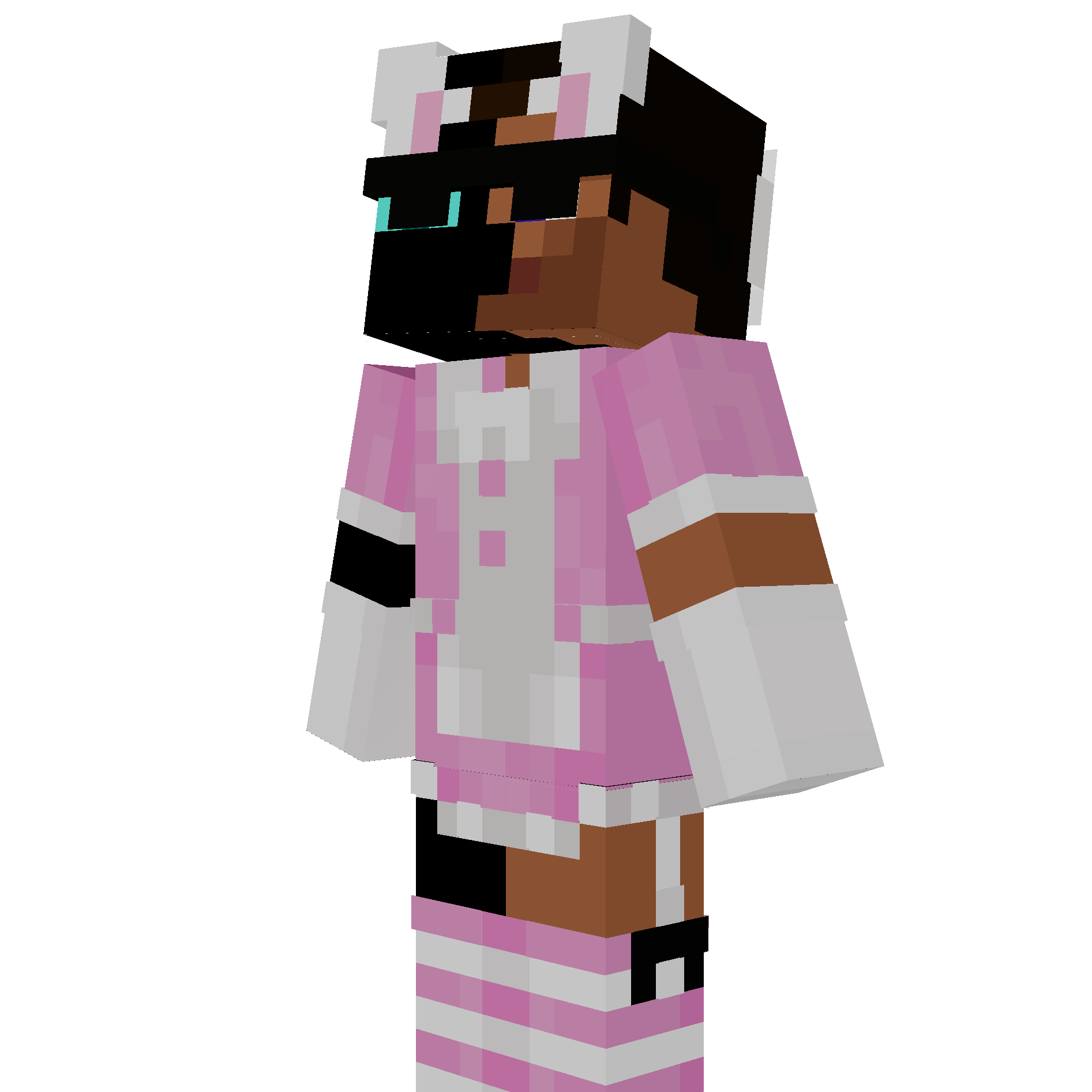 Minecraft person